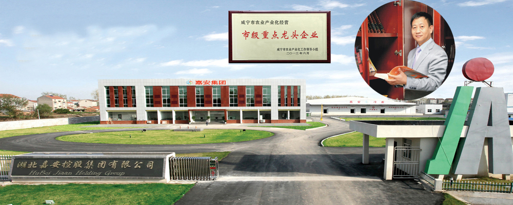 湖北嘉安控股集团有限公司